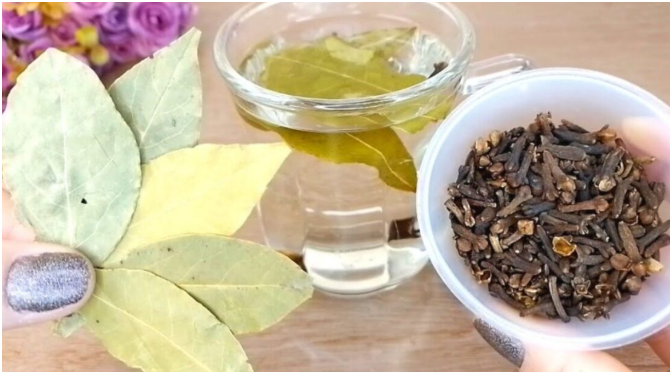 Té de Laurel y Clavo de Olor: Receta Completa, Beneficios y Consejos de Consumo