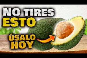 No Deseches la Semilla de Aguacate: Descubre sus Impresionantes Beneficios