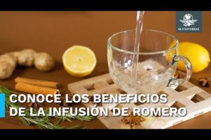 Té de romero: Beneficios, propiedades y cómo prepararlo correctamente