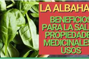 Beneficios de la Albahaca y Cómo Consumirla