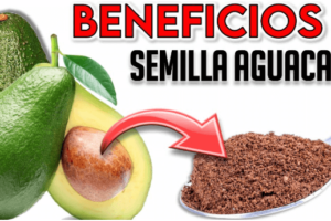 Té de Semilla de Aguacate con Cúrcuma y Canela: Beneficios y Cómo Prepararlo