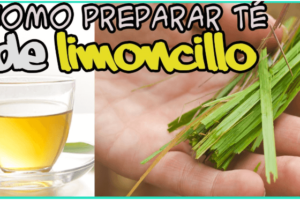 Beneficios del Té de Hojas de Limoncillo y Cómo Prepararlo