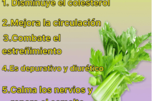 Apio: Propiedades, Beneficios y Cómo Consumirlo