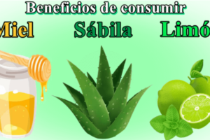 Aloe Vera, Miel y Limón: Un Trío Natural para Tratar Diversas Afecciones