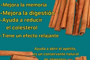 Té de Canela y sus Beneficios: Propiedades, Preparación y Recomendaciones