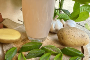 Elimina el Parásito Helicobacter pylori con Papa y Sábila: Remedio Natural Efectivo