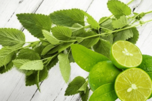 Ortiga con Limón: Dos Recetas Naturales para Transformar tu Salud