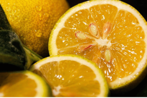Beneficios y Usos Medicinales de las Semillas de Limón: Propiedades, Recetas y Precauciones