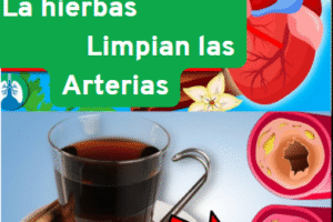 Los 3 mejores tés para limpiar las arterias de forma natural