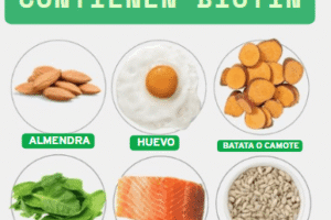 Alimentos Ricos en Biotina: Nutrición Esencial para el Cabello, la Piel y el Metabolismo