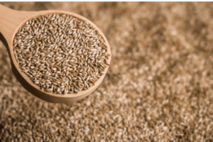 Leche de Alpiste: Receta Detallada, Beneficios y Usos