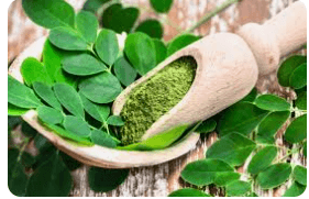 Moringa: Para Qué Sirve y Cómo Debes Consumirla