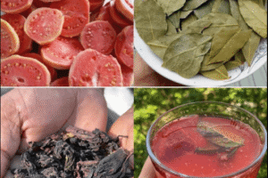 Descubre por Qué la Guayaba es una de las Frutas Más Poderosas