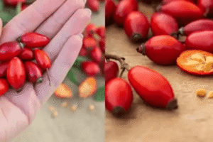 El poder oculto de la rosa canina (Rosa canina): 10 sorprendentes beneficios para la salud y cómo aprovecharla