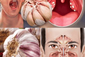 El Ajo Elimina Infecciones: 12 Beneficios Comprobados y Cómo Usarlo de Forma Natural