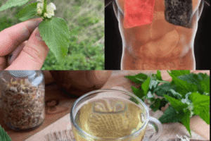 Té de Ortiga Blanca: Un Aliado Natural para la Salud Pulmonar