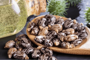 Aceite de Ricino Antes de Dormir: 3 Recetas para Piel, Cabello y Bienestar