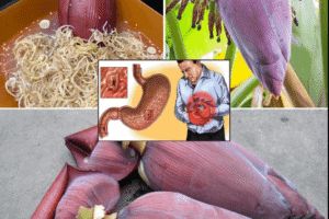 Flor de Plátano: Beneficios y Receta para el Estómago