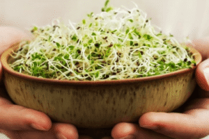 Alfalfa para los Riñones, la Gota y Más: Un Remedio Natural Poderoso